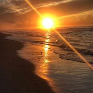 Meet your Posher, Paige